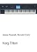 Korg Triton