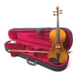 Natural Color Violin Ensemble