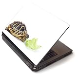 Review Kesa Design  / Rocket fuel - Toshiba Lapjacks skin to fit 17