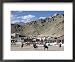 Game of Polo on Leh Polo Field, Tsemo Gompa on Ridge Behind, Leh, Ladakh, India Colle...