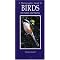 Birds (Indian Subcontinent)