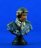 WW? ���ɥ�ա��������ɡ��إå�2�������� 200mm Galland Bust Set 2 choices [VP1341]