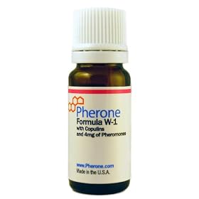 Pherone Formula W-1 Pheromone Cologne for Women to Attract Men, with Human Copulins and Pure Human Pheromones