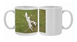 LA-5818 Dog - Dalmatian a Jack Russell Terrier playing with tennis ball Photo Mugs