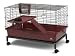 Pet Supplies : SUPER PET FIRST HOME DELUXE LARGE WITH STAND 30 x 18 x 16.5 inch