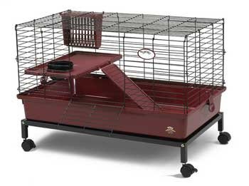 Childrens Toyshop  Pet Supplies : SUPER PET FIRST HOME DELUXE LARGE WITH STAND 30 x 18 x 16.5 inch