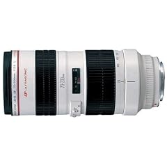 Canon EF 70-200 mm / 1:2,8 L USM Objektiv (77mm Filtergewinde)