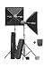 Elinchrom D-Lite 4 IT EL 20815KIT To Go Set With Two D-Lite 4 400WS Compact Strobe Units