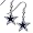 Dallas Cowboys