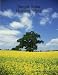 Simple Solar Homesteading