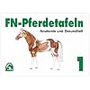 FN-Pferdetafeln Set 1: FN-Pferdetafeln. Mappe I: Enth�lt Tafel 1 - 13: Fuer Pferde giftige Pflanzen - Lage erkennbarer Veraenderungen - Farben und ... Die Hufe - Der Kreislauf - Die Atmungsorgane
