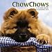 Chow Chows 2012 Wall Calendar 12