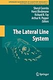 The lateral line system