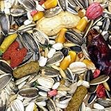 Higgins Nederlands Vita Seed Bird Seed for Parrots 25-lb bag