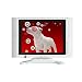 Skyworth SLC-1551AM 15-Inch Marine Active Matrix TFT LCD TV/DVD Combination