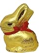 Lindt Dark Chocolate Gold Bunny