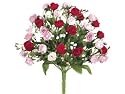 Allstate FBR768-PK-RE 12 in. Pink-Red Sweetheart Rose Bush X14- Case of 24
