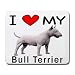 terrier31 - I Love My Bull Terrier