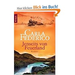 Jenseits von Feuerland: Roman (Knaur TB)