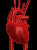 Heart Like Cement