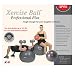 SPRI Professional 55 cm Stability Body Ball & Air Pump
