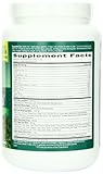 Garden of Life Perfect Food Super Green Formula, 600- Grams (60-Servings)