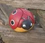 Evergreen Enterprises Ladybug Portly Medium
