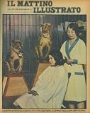 L'ondulazione permanente in una gabbia di leoni: calma, imperturbabile, miss Margaret Seyers, virtuosa inglese del pettine, aggiusta le belle chiome della domatrice di un circo, circondata dalle sue belve, a Hove (Inghilterra) .