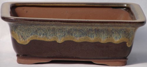 BuyBonsai's Bonsai Pot 6.5 Rectangle Glazed Brown