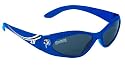 Lazy Town Sportacus Sunglasses