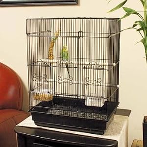 Petco Designer Square Top Parakeet Cage