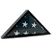 Cadet III Flag Display Case for 5ft x 9.5ft Flag - Cherry Case Only