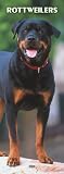 Rottweilers 2008 Slimline Calendar