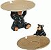 Willie Black Bear Cub Figurine Candy Coin Dish With Shiny Gloss Look 6 (Great On Desk Or Table) Set Of 2 In 2 Styles