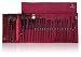 Shany Cosmetics NY Collection Pro Brush Kit, 13 Ounce (22 Piece Mix Natural or Synthetic with Purple Faux Crocodile Case)