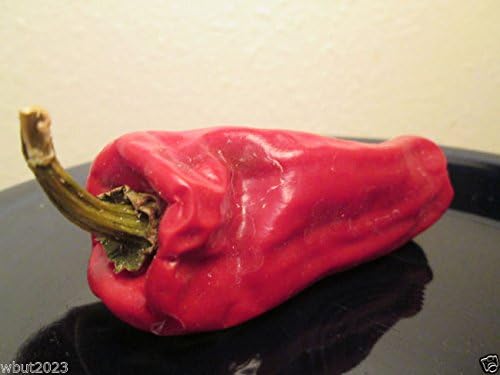 10 ALEPPO PEPPER Seeds - Capsicum Annuum,- Organic Non-GMO Hot Peppers