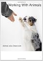 Working with Animals