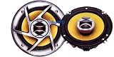 Pioneer - Pioneer TS-D161R 6.5-Inch 2-Way 260-Watt Rev-Series Speaker