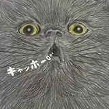 キャッホー (初回生産限定盤) (DVD付) (依布サラサ)