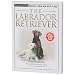 labrador3  - TERRA NOVA LABRADOR RETRIE