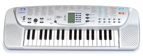 MusicalInstruments: Casio Keyboard Mini Size