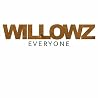 Image of album by The Willowz