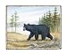 Magestic Beast FINEST BRAND CANVAS Print With Added Heavy BRUSHSTROKES Ron Jenkins 20x16