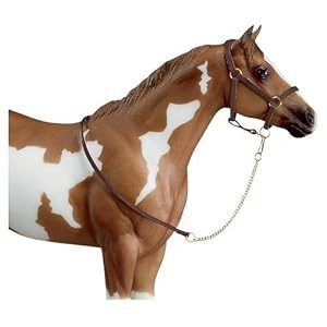 horse tack