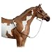 Leather Halter w/ Lead Chain�
