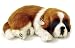 Perfect Petzzz St. Bernard