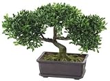 Artificielles - Bonsai Teebaum, en pot, 26cm artificiel