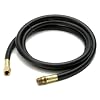 Mr. Heater 5 Foot Propane Appliance Extension Hose Assembly 1/4 Inch Female Pipe Thread X 1/4 Male Pipe Thread F273717