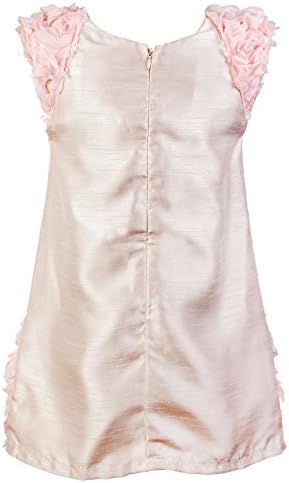 Baby Fashionistas Little Girls' Shift Dress With Floral Appliques 4 Yrs Cream With Blush Combination