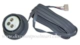 CG Cell Port Sensor Replacement Kit Part No. R0452500 By: Jandy